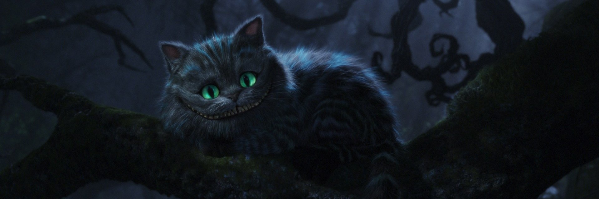 amymzed's profile banner image