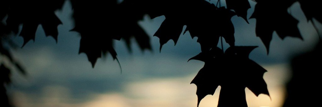 MacarenaPilar6's profile banner image