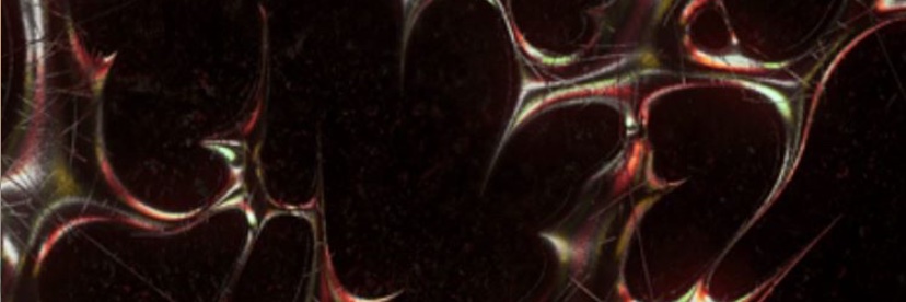 lunitachomali's profile banner image