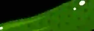 LEYDEDANTAS2's profile banner image