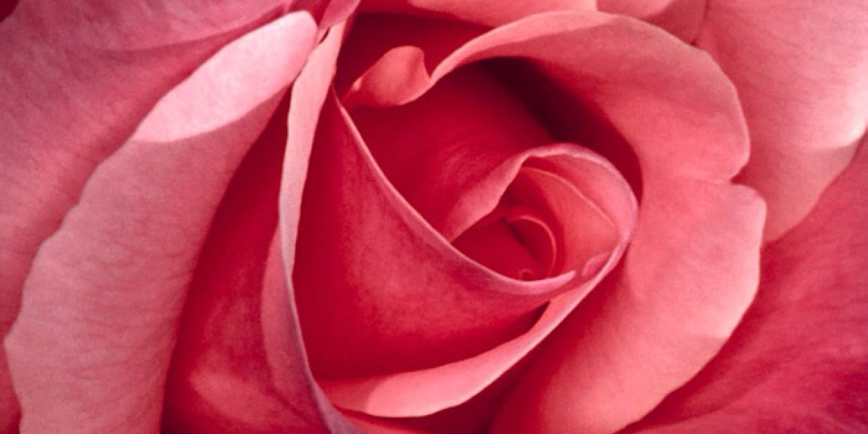 MelMoretta's profile banner image