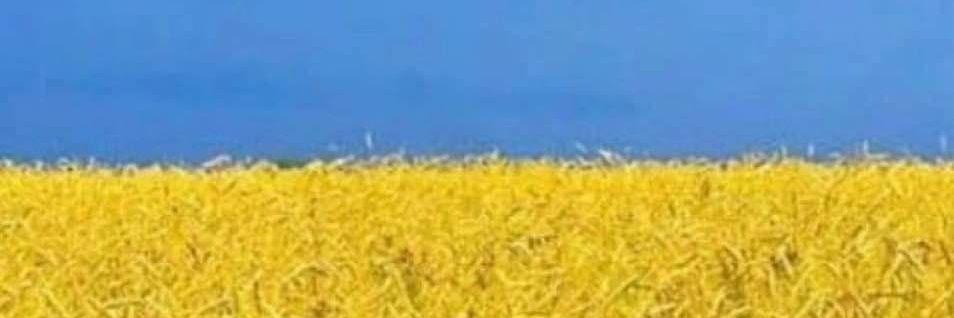 McNulty_J's profile banner image