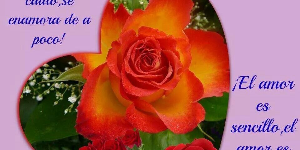 Juan Dotor gonzalez  banner