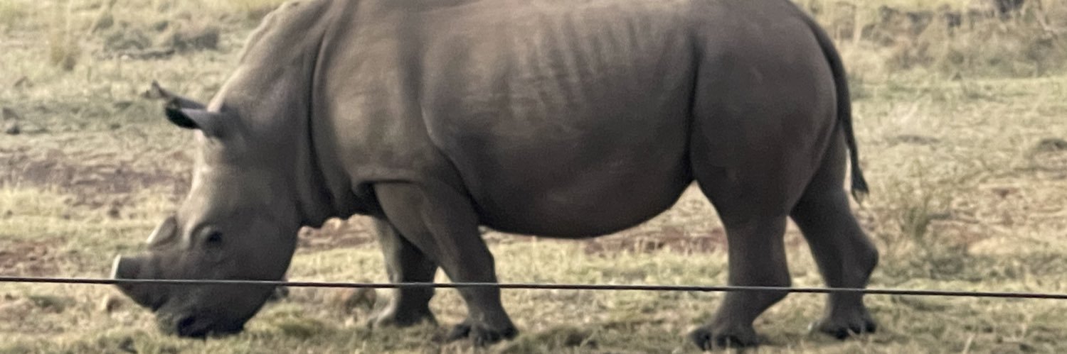 BooiPambili's profile banner image