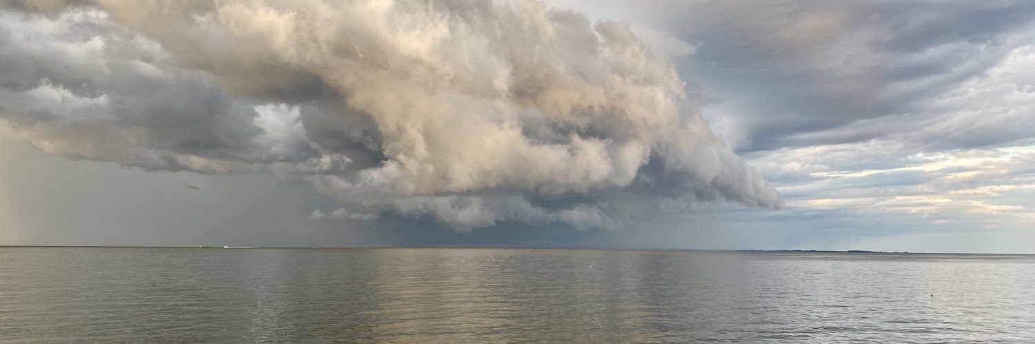 Michael Wilkinson banner