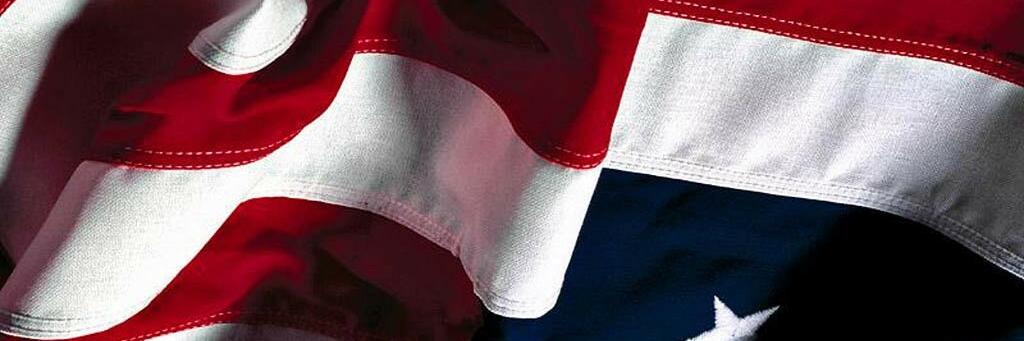 🇺🇸 Vote Blue AF 💙📰📝🖼🎋 banner