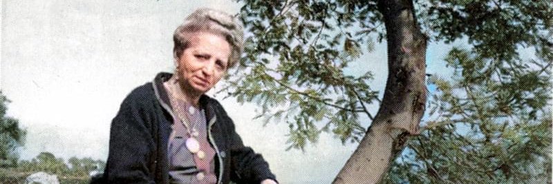 clemborghi's profile banner image