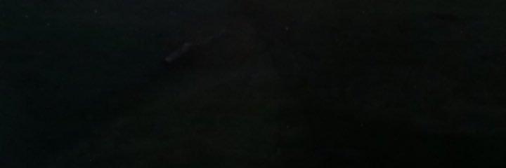 Rissyjj's profile banner image