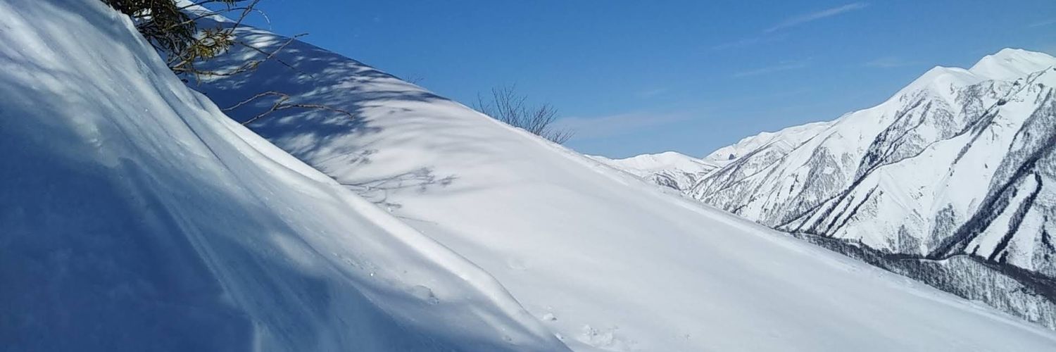 hujodus's profile banner image
