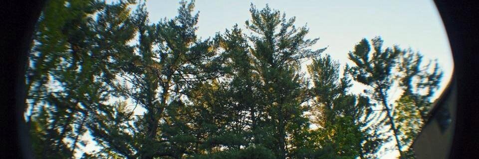GingieeB's profile banner image