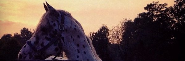 ChelseaWBowen Profile Banner