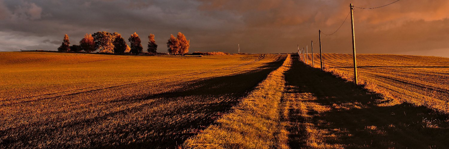 AustinRaySmith's profile banner image