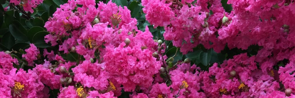 tedelin56's profile banner image
