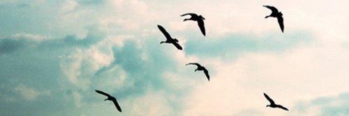 _paulabg's profile banner image