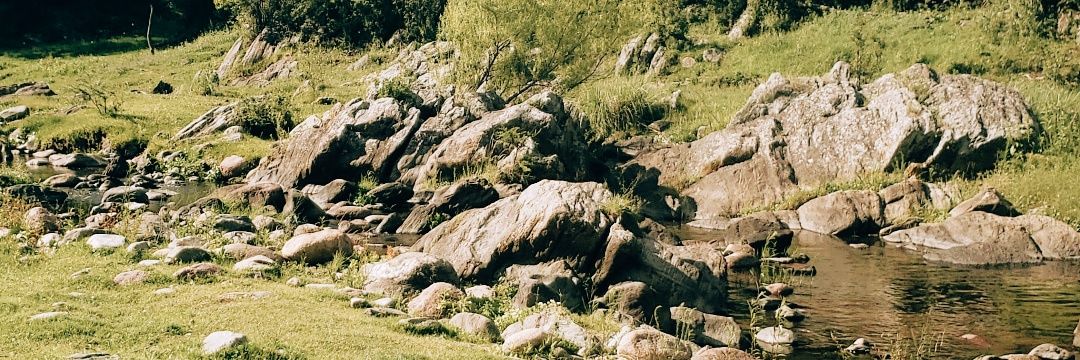 lapipipaz's profile banner image