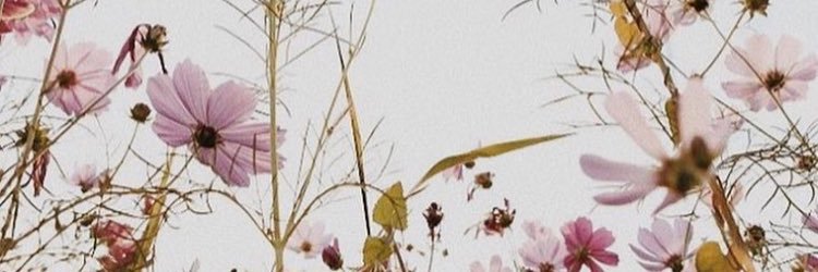 Vanessadelro's profile banner image