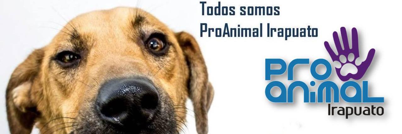 ProAnimal Irapuato banner