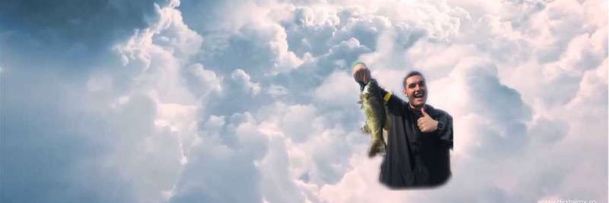 dball2014's profile banner image