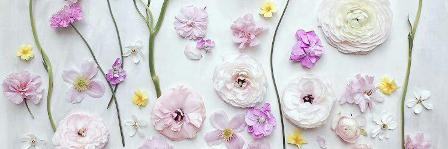 weooo_ah's profile banner image
