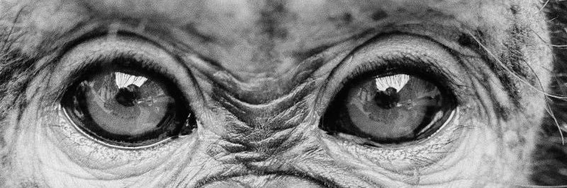 Marktuain's profile banner image