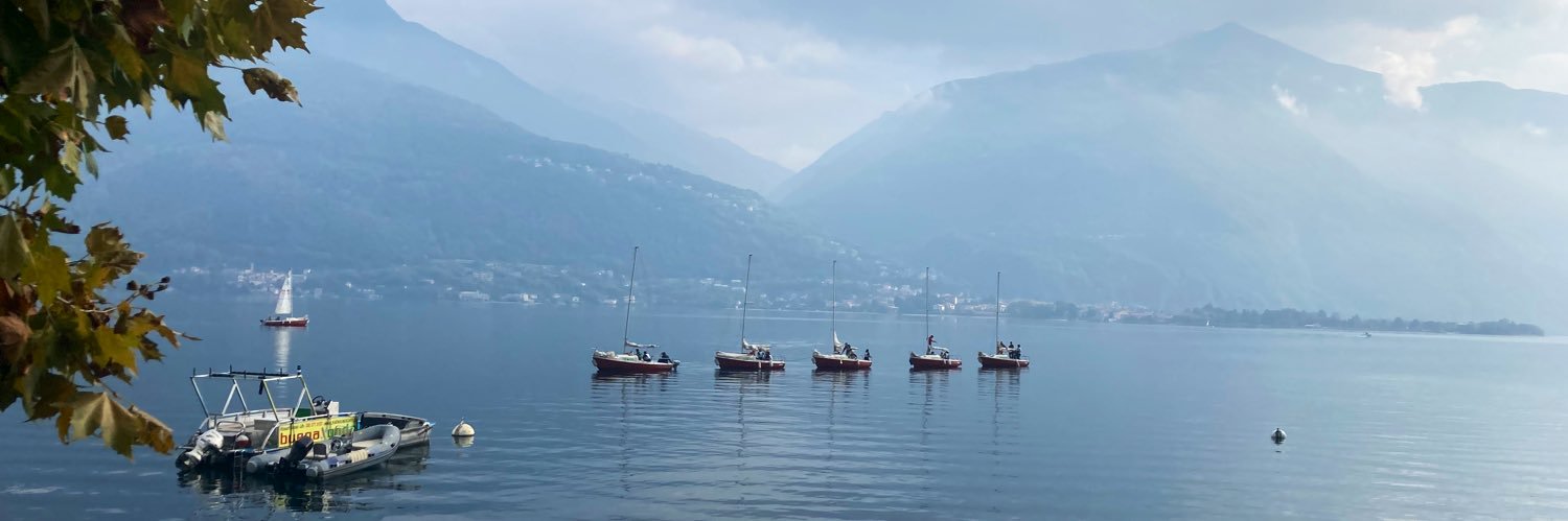 Alexander Tomé banner