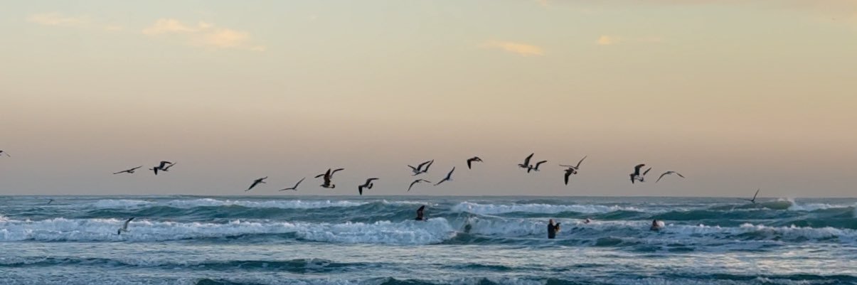 jjossv's profile banner image