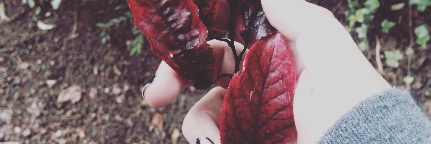 LizzLoulou's profile banner image