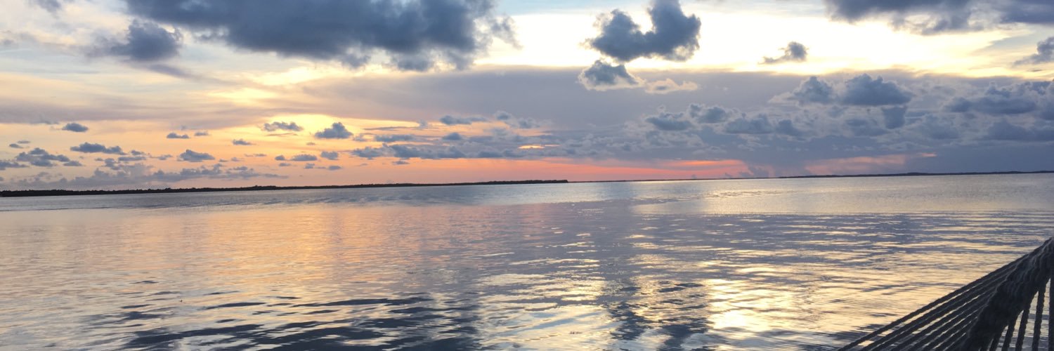 salwachahin's profile banner image