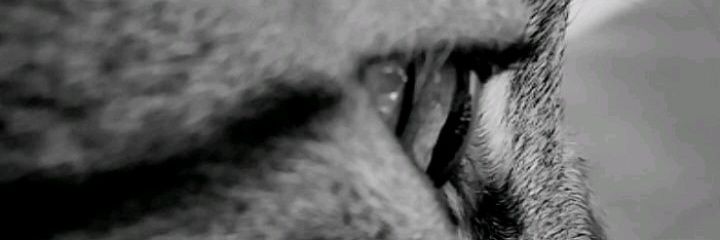 arzuu_tr's profile banner image