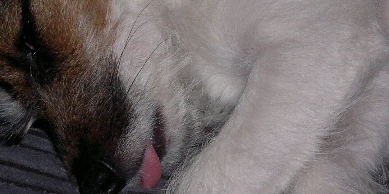 DurrantBilly's profile banner image