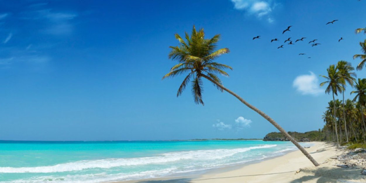 TOUCANTRAVEL's profile banner image