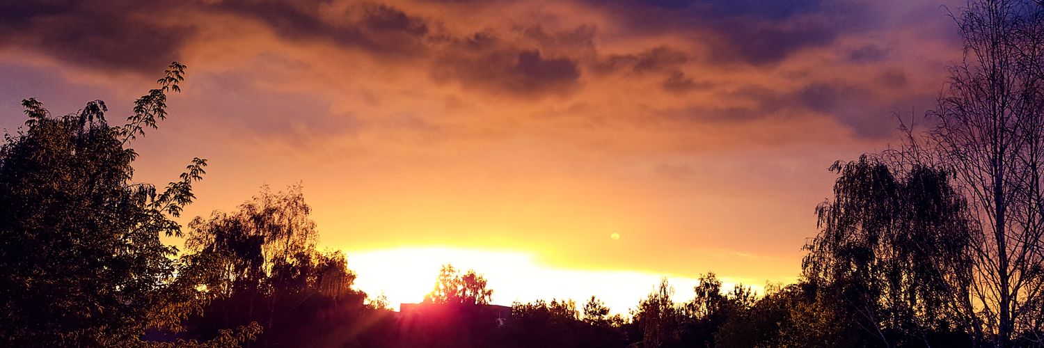 nerwi86's profile banner image