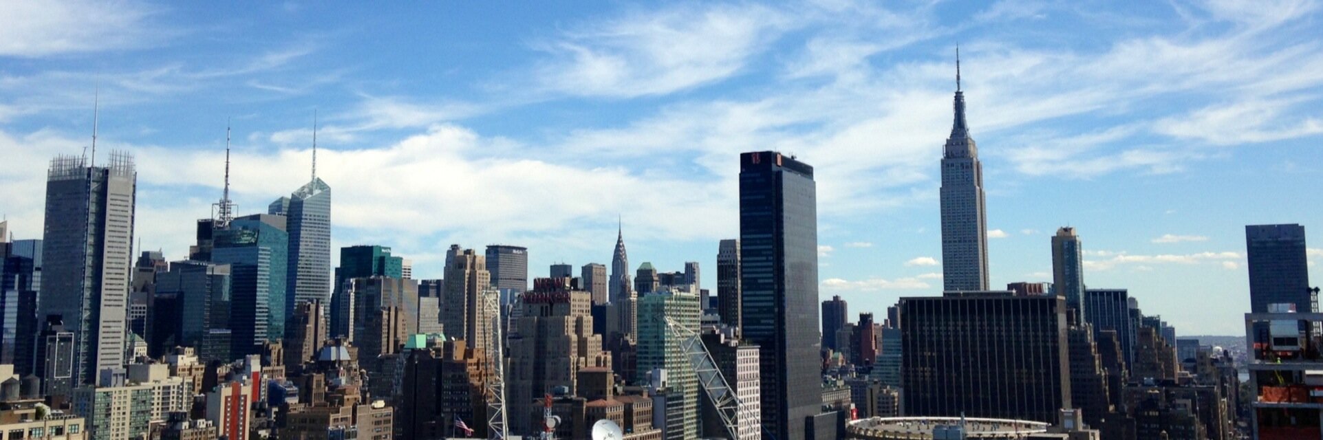 TracyMemoli's profile banner image
