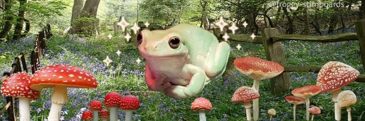 tamaraaajane's profile banner image