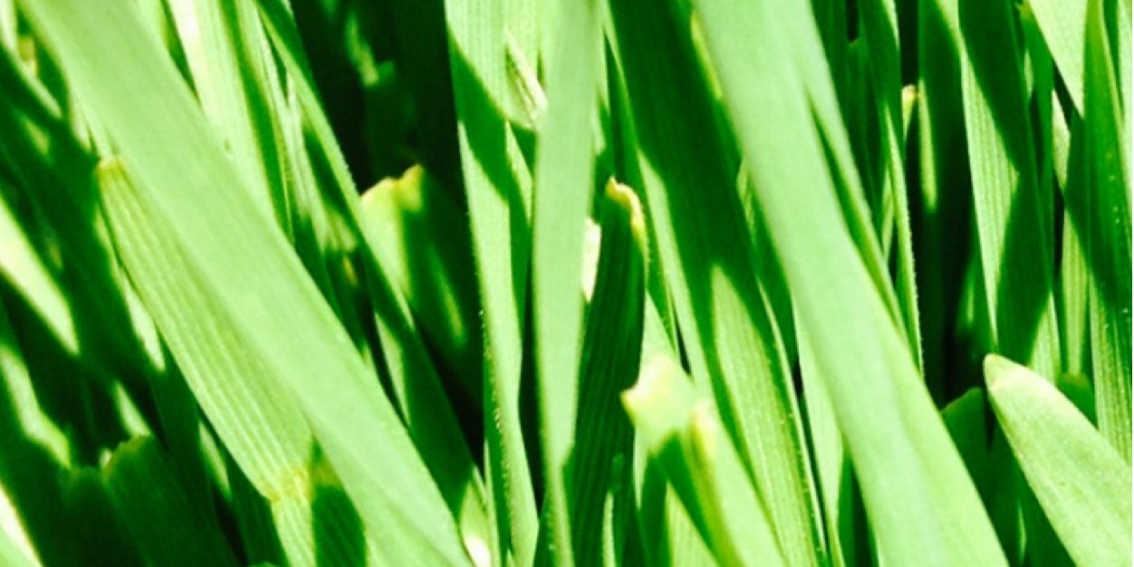 HBWellness1's profile banner image