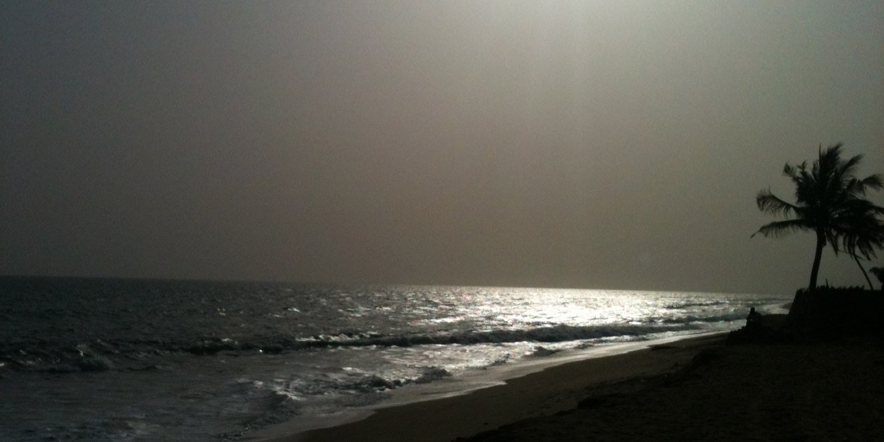 Naksidil@insoumise🇵🇸 ☪️🌍 🐢🔻 banner