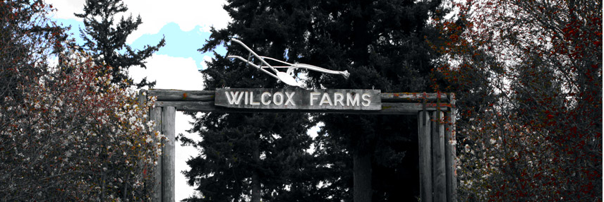 wilcoxorganic's profile banner image