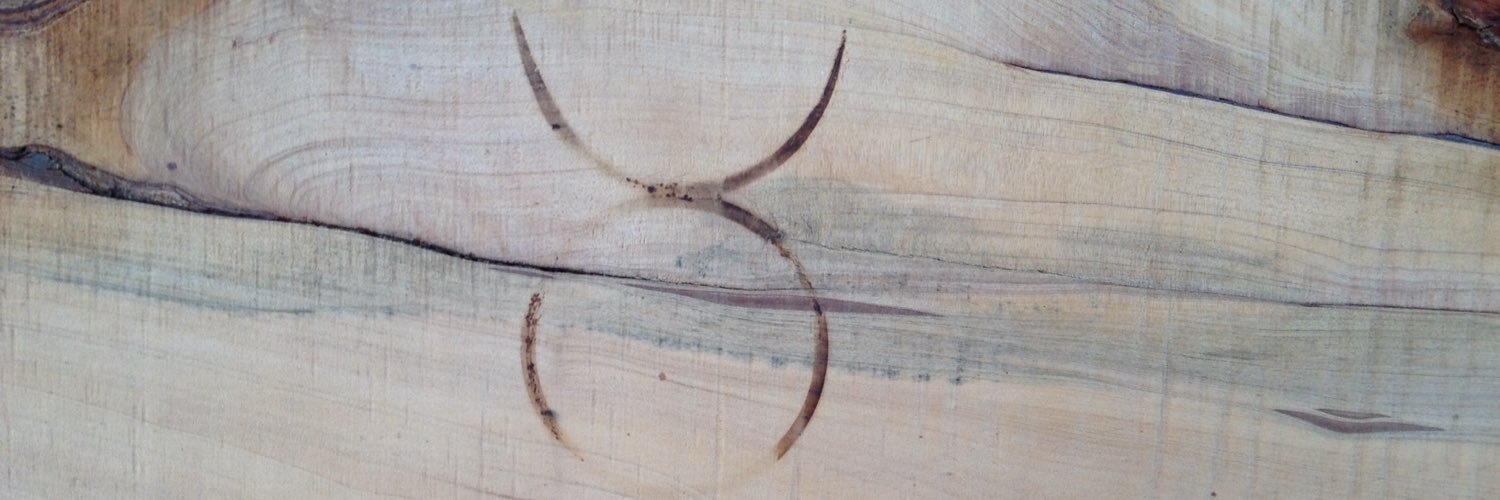 David M Odorisio PhD banner