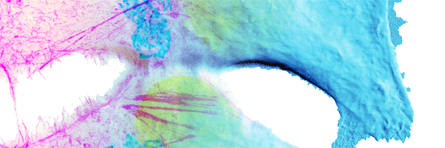 cmpi_cnrs's profile banner image