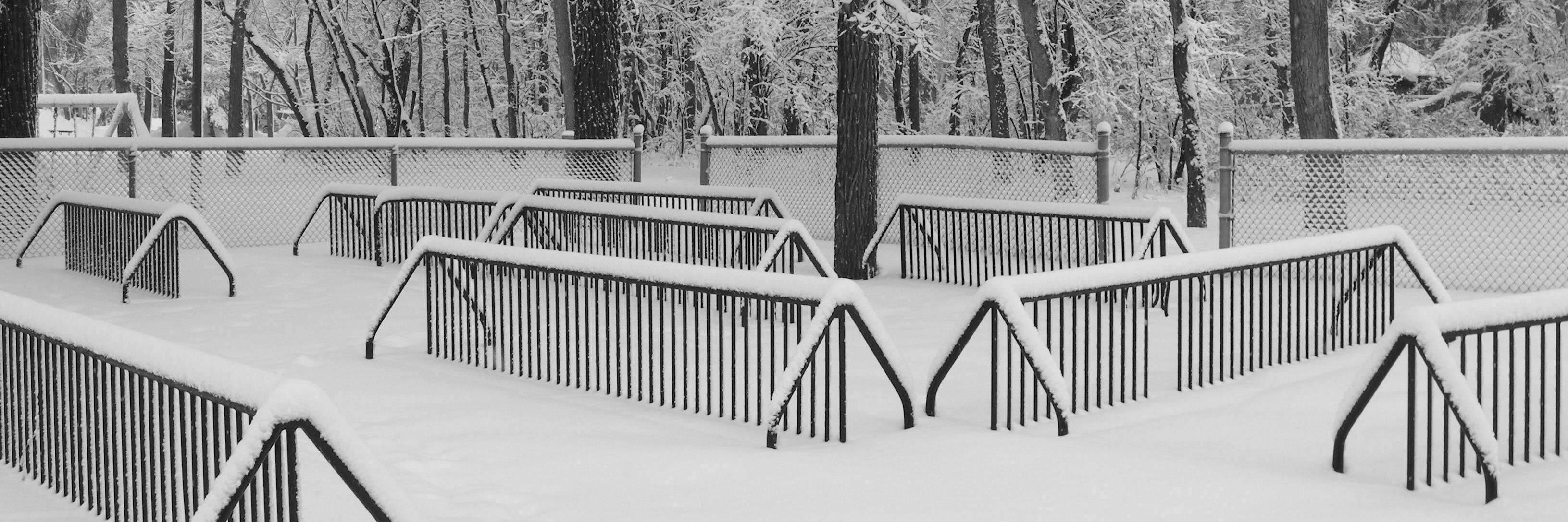 LittleBike204's profile banner image