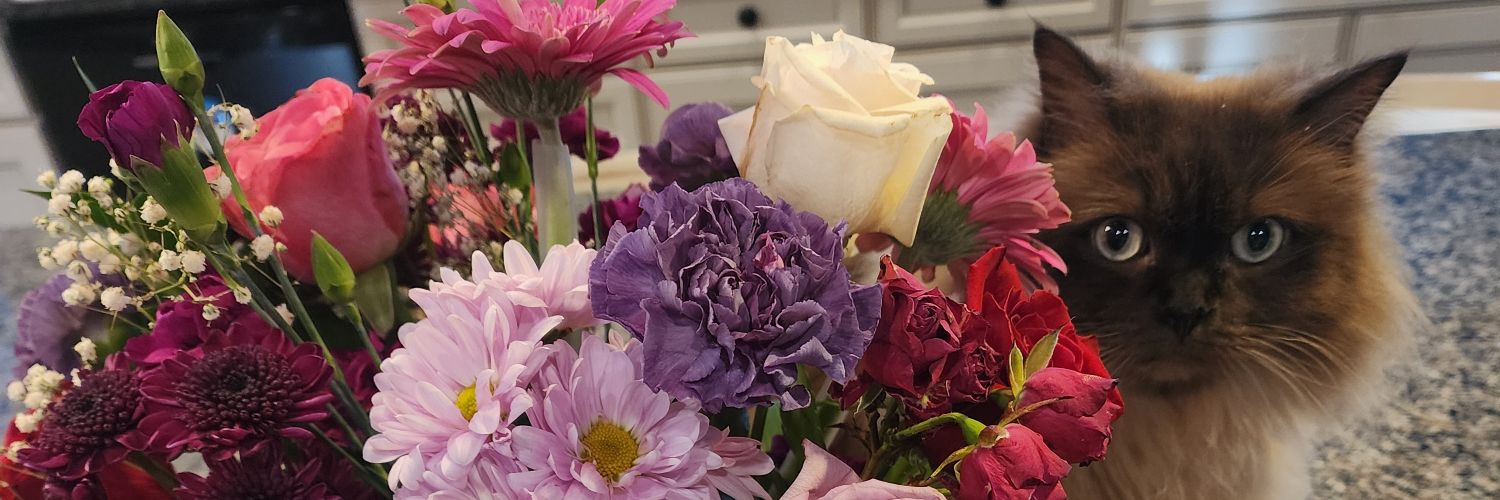 Michelle Erwin banner