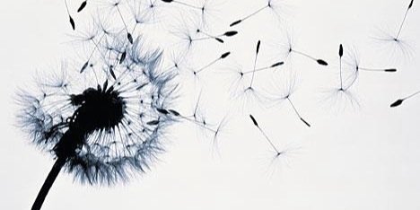 Isa_BelDZ's profile banner image