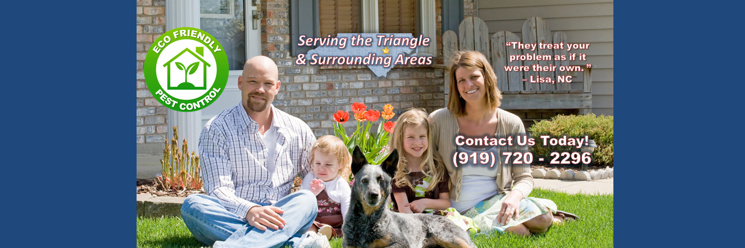 Adam's Pest Solution banner