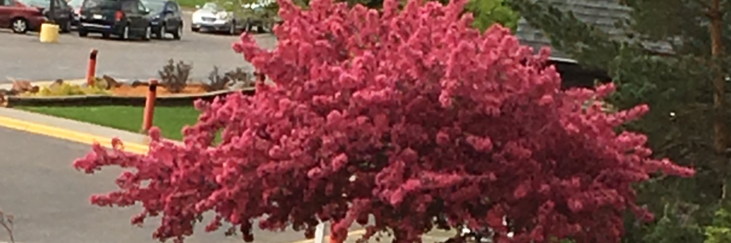 boyles53's profile banner image