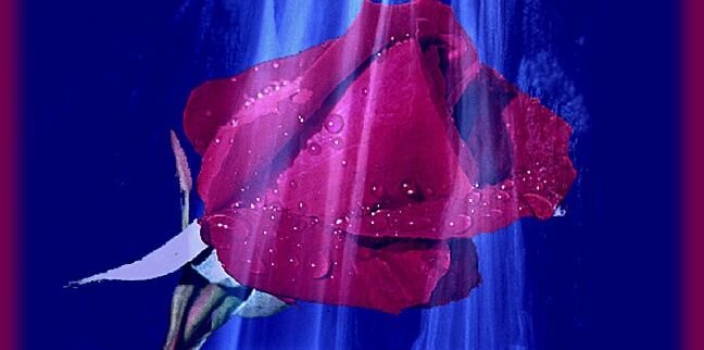omar9166's profile banner image