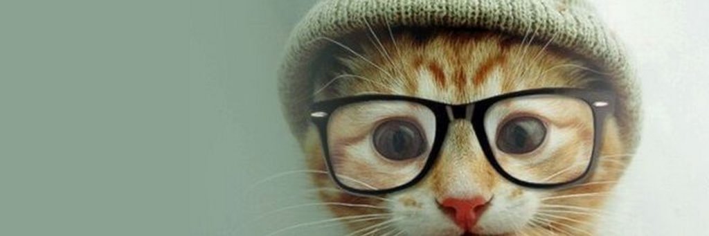 bieppe's profile banner image