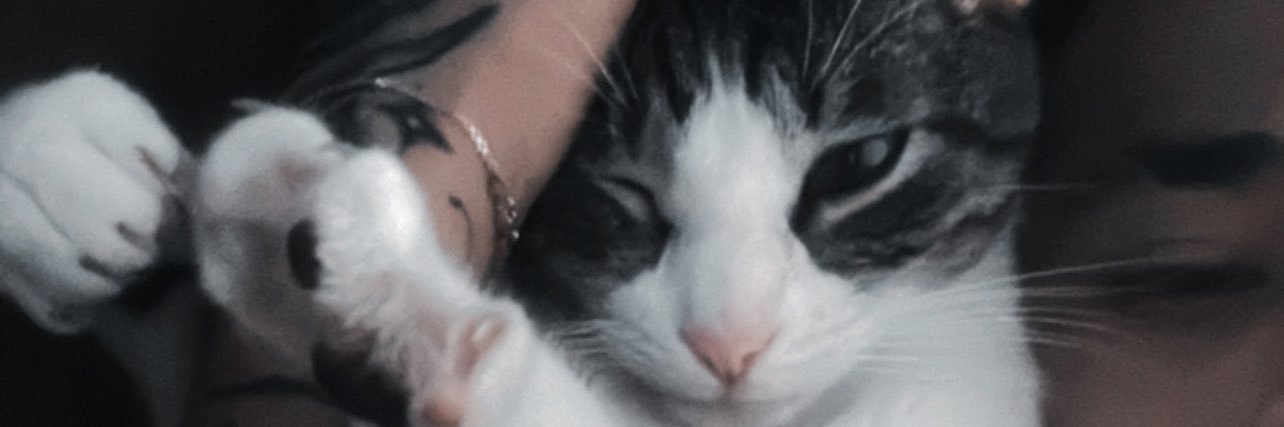 AndressRdzz's profile banner image