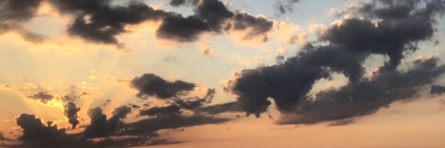 legit_laina's profile banner image