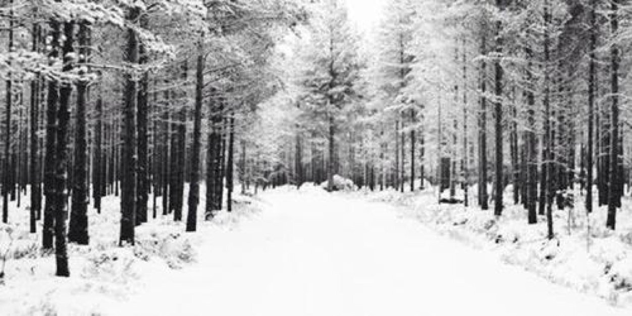 AllisonHHS's profile banner image