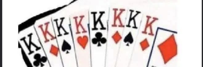 silvia duas caras banner